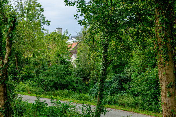 Thumbnail: 05_JA 40705 Natur pur , Wasserturm im Hintergrund.jpg